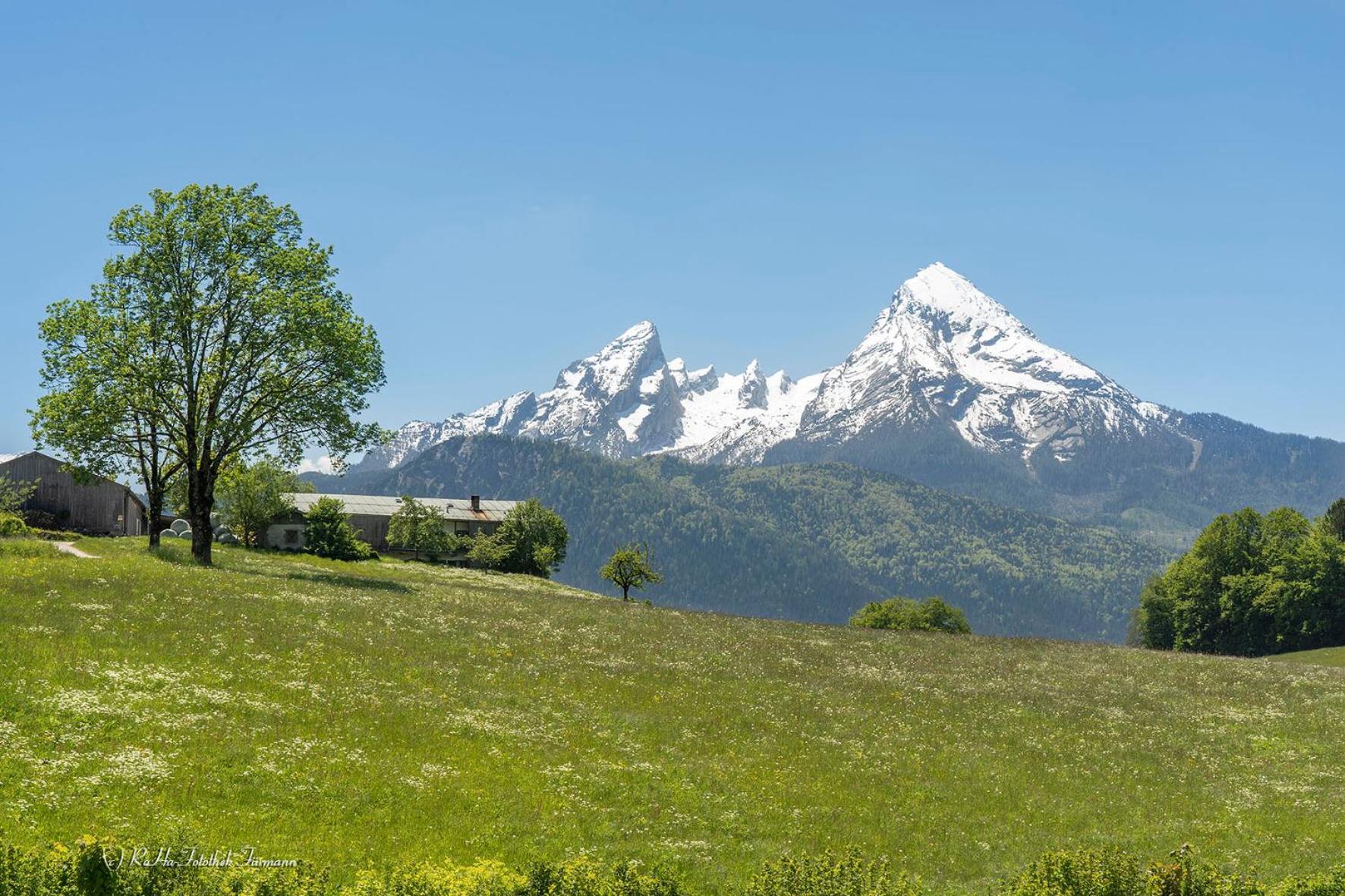Monteurzimmer Am Teisenberg Neukirchen am Teisenberg Eksteriør billede