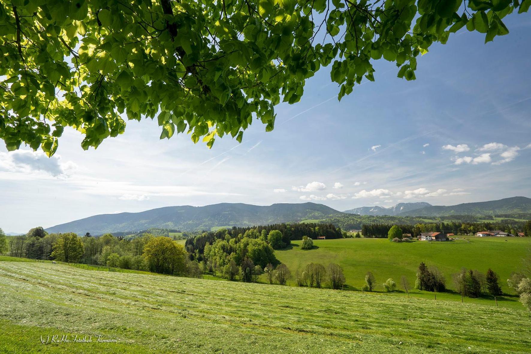 Monteurzimmer Am Teisenberg Neukirchen am Teisenberg Eksteriør billede